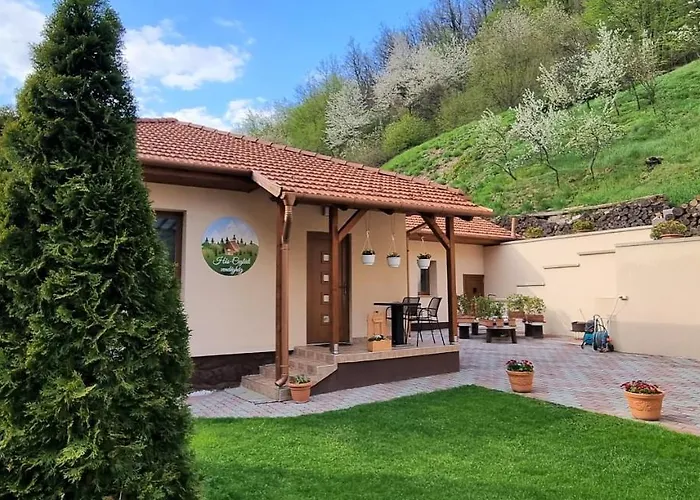 Hos-Cegledi Vendeghaz Miskolc -Oenallo Otthon, Mely Csak Az Oenoeke