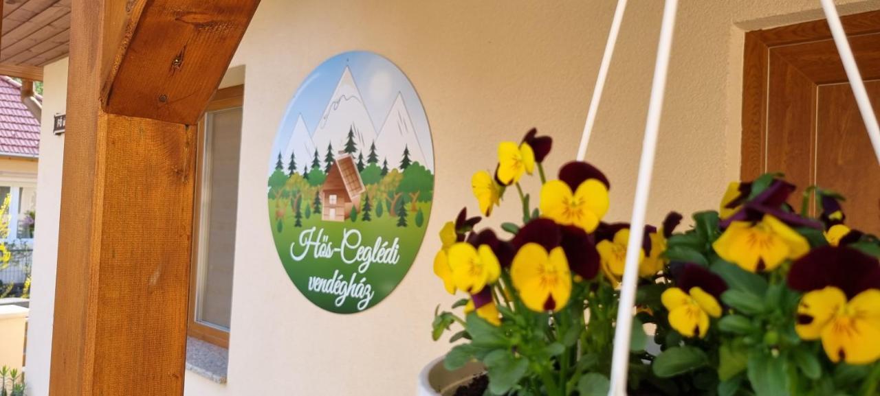 Apartment Hos-cegledi Vendeghaz -oenallo Otthon, Mely Csak Az Oenoeke
