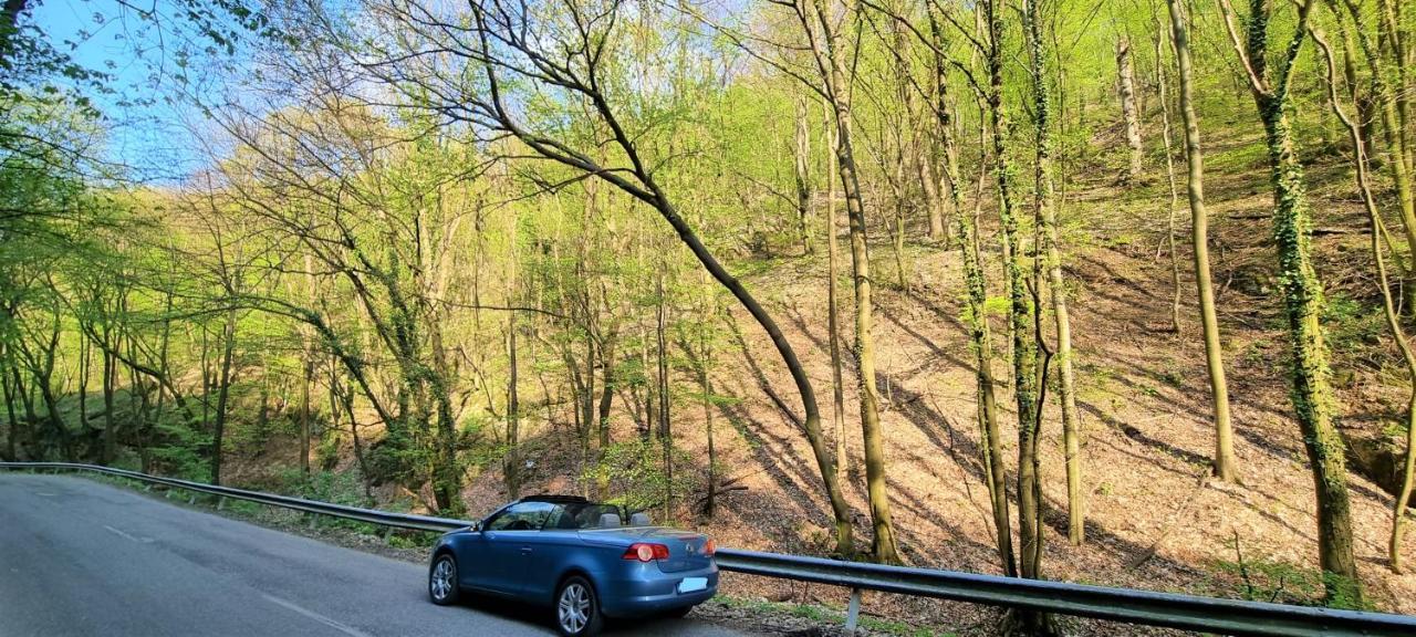 Hos-cegledi Vendeghaz -oenallo Otthon, Mely Csak Az Oenoeke Miskolc