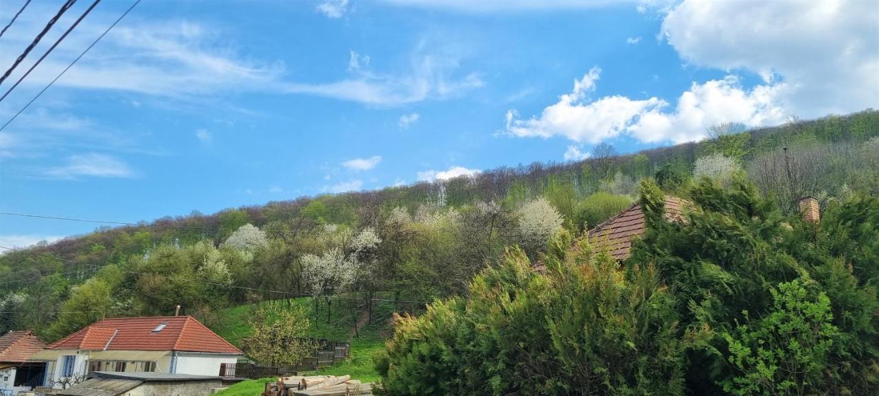 Hos-cegledi Vendeghaz -oenallo Otthon, Mely Csak Az Oenoeke Apartment *